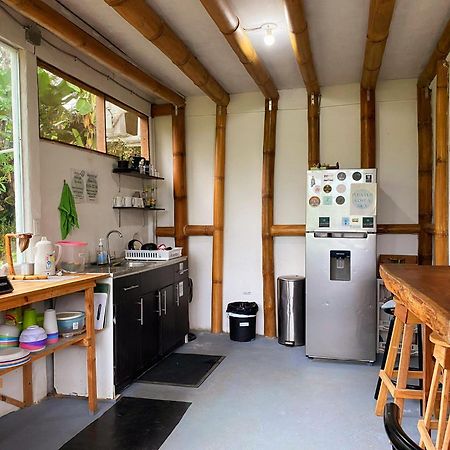 Flor De Bambu Apartman Uvita Kültér fotó