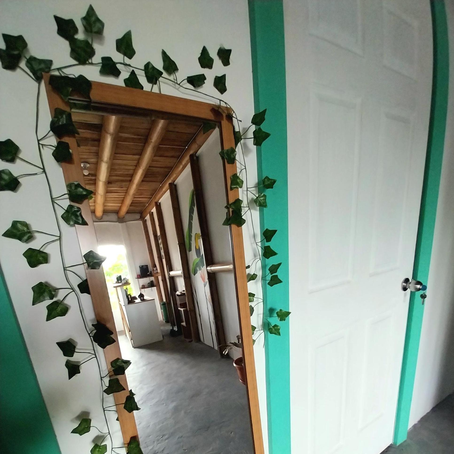 Flor De Bambu Apartman Uvita Kültér fotó